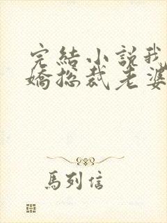 完结小说我的傲娇总裁老婆