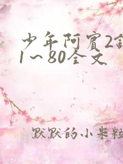 少年阿宾2钰慧1～80全文