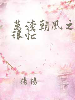 万渣朝凰之奸妃很忙