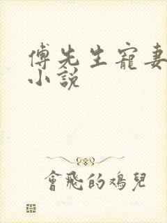 傅先生宠妻无度小说