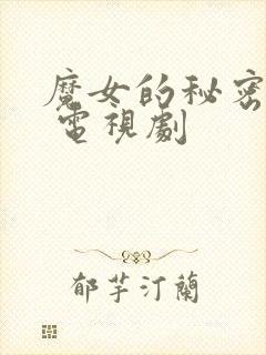 魔女的秘密契约 电视剧