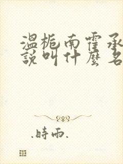 温栀南霍承钧小说叫什么名字