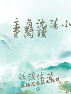 主角沈荡小说免费阅读