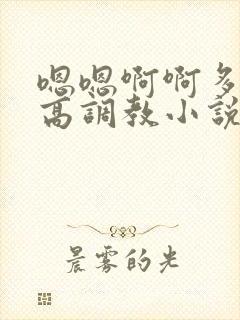 嗯嗯啊啊多人h高调教小说