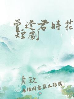 曾逢君时花照眼 短剧