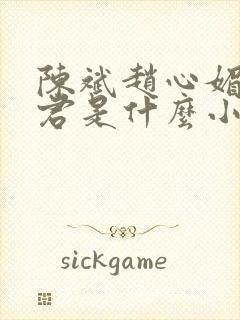 陈斌赵心媚高婉君是什么小说