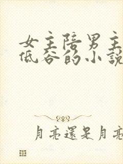 女主陪男主走过低谷的小说