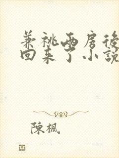 兼祧两房后夫君回来了小说全文阅读