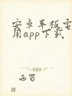 安卓平板电脑专用app下载