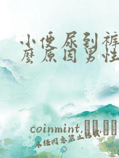 小便尿到裤子什么原因男性