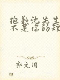 抱歉沈先生孩子不是你的短剧免费全集