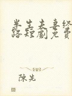 半生夫妻终成陌路短剧免费观看全集