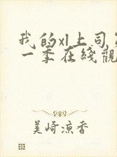 我的xl上司第一季在线观看