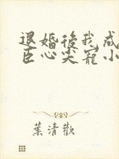 退婚后我成了权臣心尖宠小说阅读全部