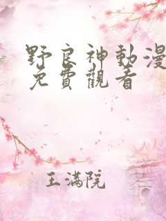 野良神动漫全集免费观看