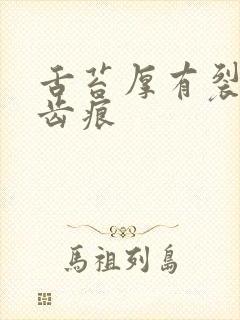 舌苔厚有裂纹有齿痕