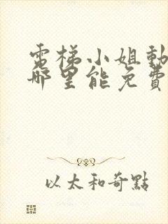 电梯小姐动画片哪里能免费观看