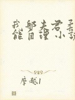 我那夫君柔弱不能自理 小说