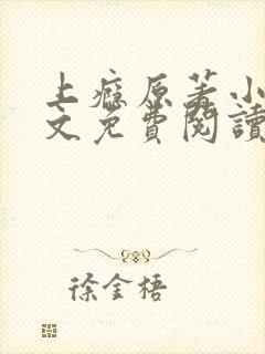 上瘾原著小说全文免费阅读