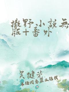 撒野小说无删减版+番外