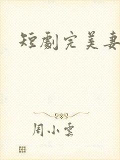 短剧完美妻子