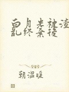 白月光被渣攻始乱终弃后