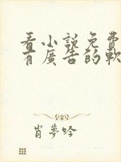 看小说免费还没有广告的软件