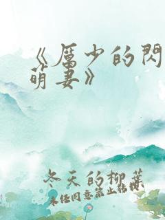 《厉少的闪婚小萌妻》