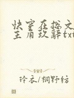 快穿在总文里抢主角玖辞txt