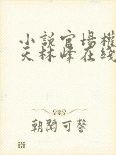 小说官场权势滔天林峰在线阅读