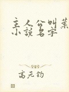 主人公叫叶帆的小说名字