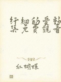 纤细的爱动漫全集免费观看