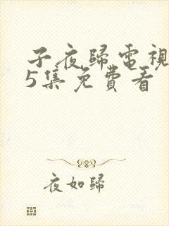 子夜归电视剧35集免费看