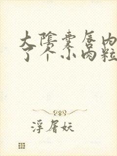 大阴囊唇内侧长了个小肉粒