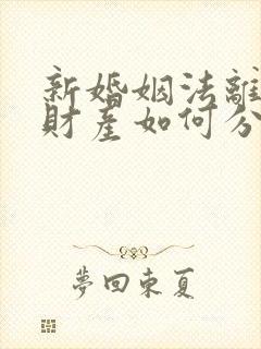 新婚姻法离婚后财产如何分割