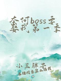 奈何boss要娶我第一季在线
