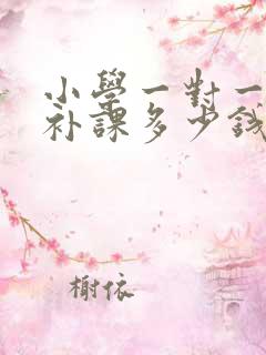 小学一对一上门补课多少钱