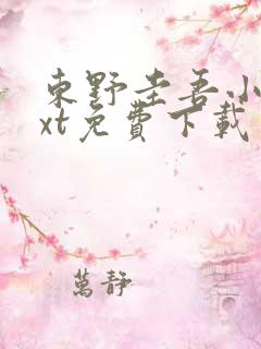 东野圭吾小说txt免费下载