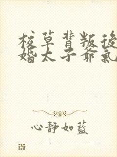 校草背叛后我闪婚太子爷气疯他苏念笙无删