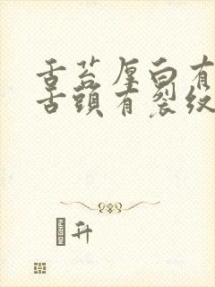 舌苔厚白有齿痕舌头有裂纹