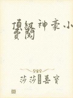 顶级神豪小说免费阅