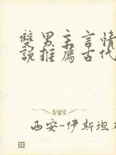 双男主言情的小说推荐古代