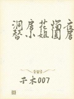 洞房花烛夜,我替小姐圆房了小说阅读全部