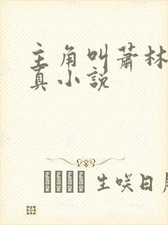 主角叫萧林的修真小说