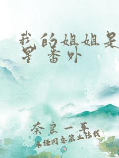 我的姐姐是大明星 番外