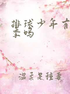 排球少年有第二季吗