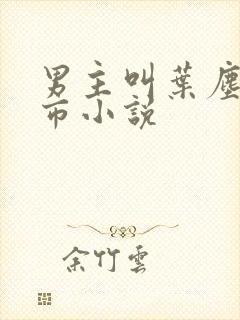 男主叫叶尘的都市小说