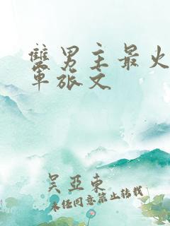 双男主最火十大军旅文