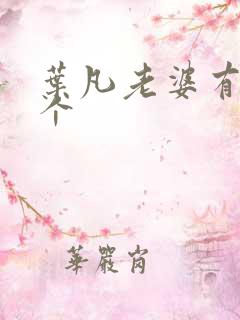 叶凡老婆有哪几个