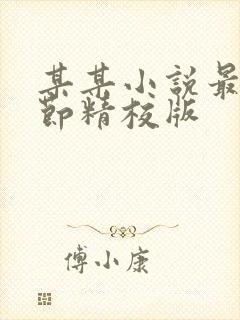 某某小说最新章节精校版